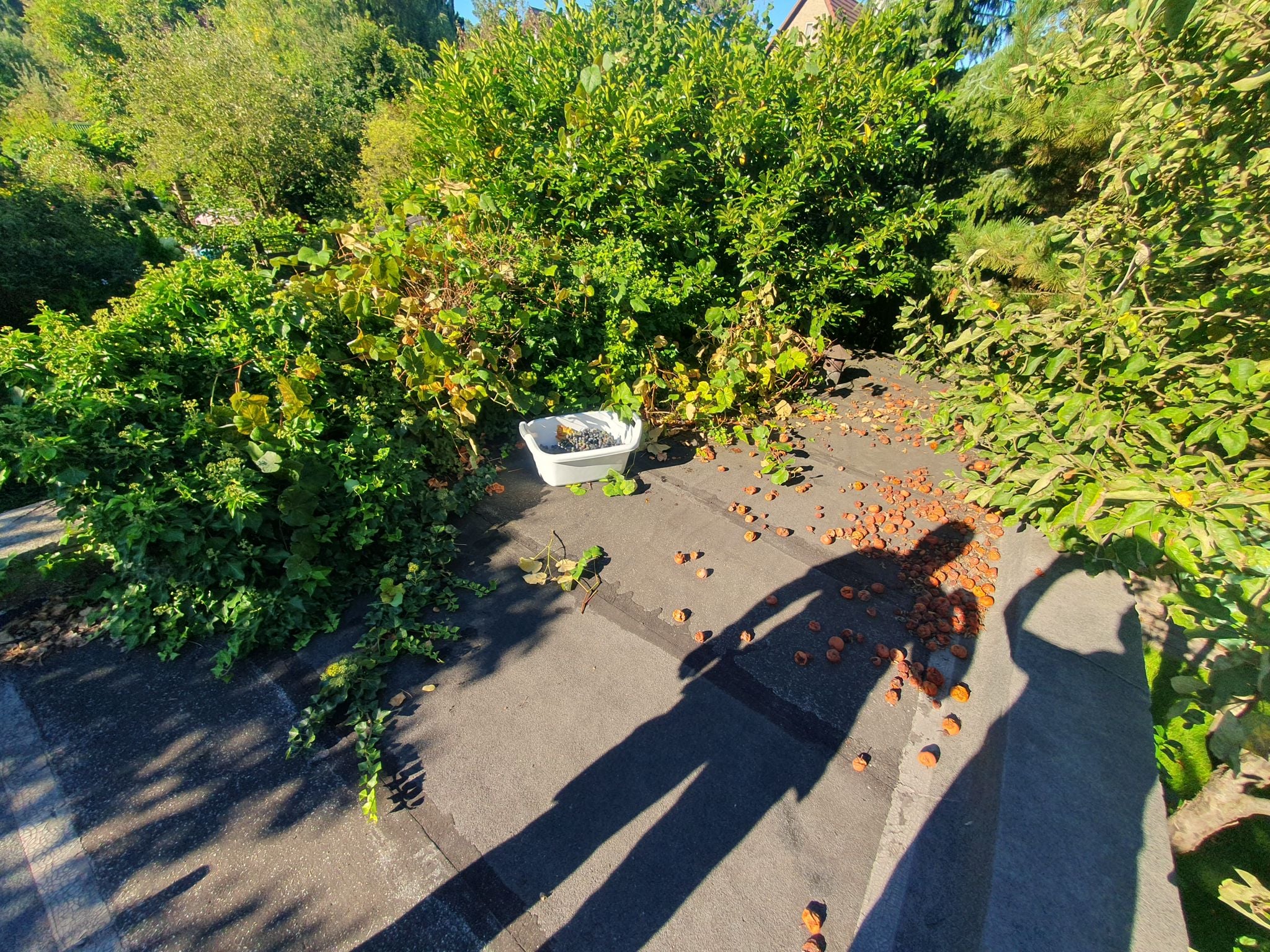 Dach garażu przed remontem