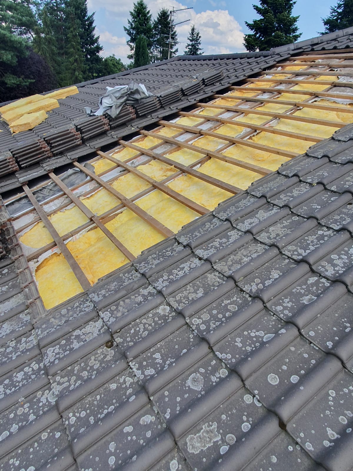 Zabezpieczenie przed kunami