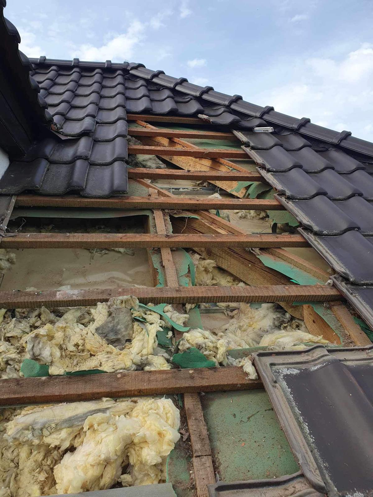 Zabezpieczenie przed kunami